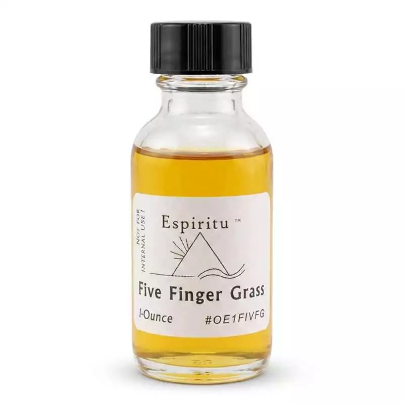 OE1FIVFG_Z_1a Espiritu Five Finger Grass Oil 1oz — small glass bottle with golden liquid labeled 'Five Finger Grass' with black cap for cinquefoil hoodoo luck and five-point blessing ritual use.