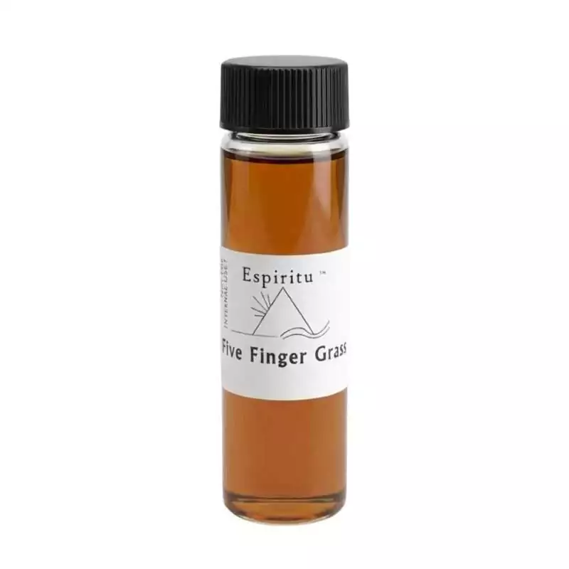 OE2FIVFG_Z_1 Small 2 dram glass vial of Espiritu Five Finger Grass ritual oil with label, a classic hoodoo luck and skill-drawing herb oil.