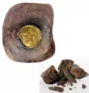 Dragon's blood resin pieces showing reddish-brown rough granular texture, with a gold coin included for scale, displayed on white background