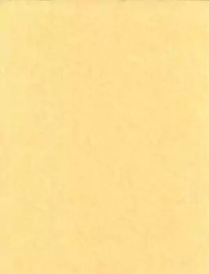 Bulk parchment paper 500 sheets 8.5 by 11 inches — light parchment-toned ritual writing paper stack for spells, petitions, sigils, and Book of Shadows in quantity.