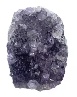 Amethyst geode rough cut from Uruguay, 1.6 to 1.8 pounds, split open to reveal deep purple crystal point clusters inside, a natural altar centerpiece specimen.