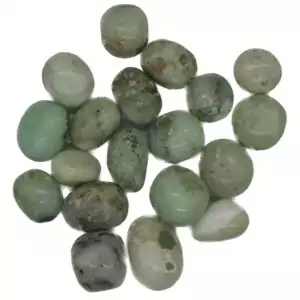 One pound bulk lot of polished chrysoprase tumbled stones in vivid apple-green — heart chakra and abundance crystal collection.
