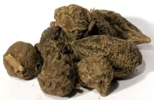 High John root Ipomoea jalapa whole dried roots in a pile showing irregularly shaped dried brown roots used in hoodoo conjure work