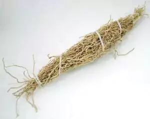 Patchouli root dried bundle Pogostemon cablin tied together showing the raw earthy whole root material for money drawing ritual
