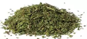 Dried spearmint cut herb showing green Mentha spicata leaves and stems in a small pile on white surface