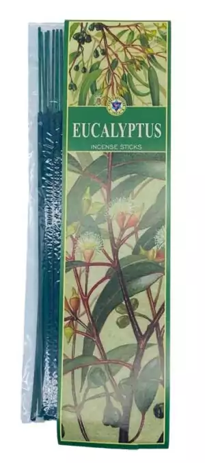 Pure Vibrations eucalyptus incense sticks 20 pack — fresh crisp cleansing fragrance for space clearing, purification rituals, and mental clarity meditation.