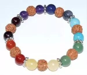 8mm seven chakra gemstone and rudraksha seed bead bracelet on stretch cord with rainbow colored stones and brown sacred seeds