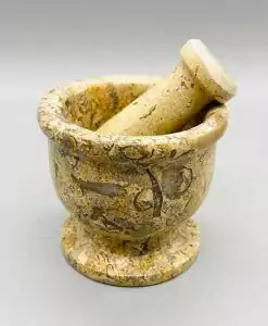 Fossil coral mortar and pestle set, 2.5 inches, made from ancient fossilized coral stone with natural texture for ritual herb grinding and ancestral earth magic.