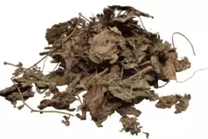 2oz pack of dried whole patchouli leaf herb for grounding prosperity and love rituals in folk magic and green witchcraft practice