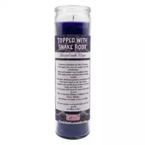 Purple jar candle topped with snake root herb featuring Against Evil protection label for ritual warding and spiritual defense
