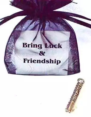 Small black mesh bag with a tag reading Bring Luck and Friendship next to a decorative silver metal charm amulet with cord.