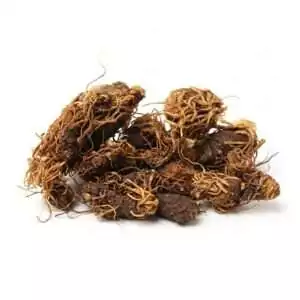 1oz packet of whole dried Beth Root (Trillium erectum) for hoodoo recoil, reversal, and traditional protective conjure workings.