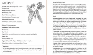 Detailed botanical illustration of allspice plant with leaves, berries, and root anatomy alongside descriptive text from inside Blackthorn's Sacred Plant Magic book.
