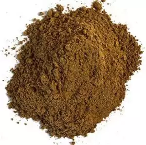 1oz quantity of brown jiaogulan herb powder, Gynostemma pentaphyllum adaptogen, on a white background for herbal tea and apothecary use.