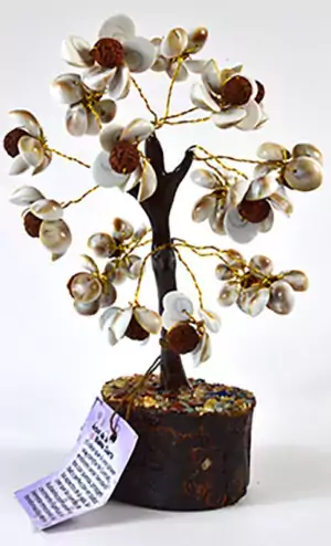 Good luck decorative tree with Rudraksha beads and shells, 8 inches tall with wire branches holding sacred seeds and natural shells for positive energy