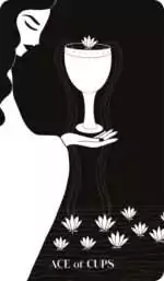 9781922786227.IN06 Black Violet Tarot card with atmospheric botanical gothic illustration