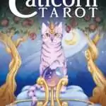 Caticorn Tarot — Pamela Chen & Delphine Dion Whimsical Cat Deck