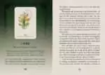 Celtic Spirit Oracle_Internals_Sample-2 Celtic Spirit Oracle card featuring an illustration of an ancient oak tree with Celtic imagery and descriptive text