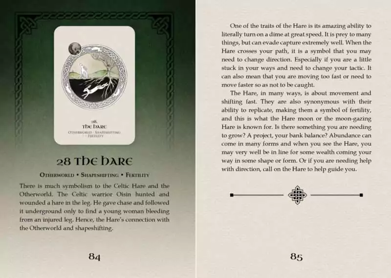 Celtic Spirit Oracle card titled The Dark featuring an atmospheric illustration of shadowed forest and nocturnal sky