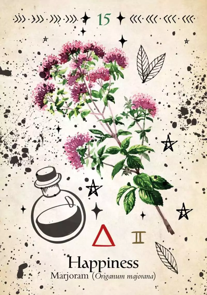 Green Witch Oracle card depicting a botanical marjoram (Origanum majorana) illustration with small oval leaves and delicate flower clusters.