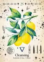 Green Witch_Oracle_Cards-25 Green Witch Oracle card showing a watercolor lemon branch with ripe lemons and dark green leaves on a clean white card background.