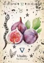 Green Witch_Oracle_Cards-32 Green Witch Oracle card showing a watercolor illustration of ripe figs, one sliced open to reveal the pink interior, with leaves.