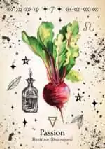 Green Witch_Oracle_Cards-7 Green Witch Oracle card depicting a vibrant watercolor beetroot with bulbous purple-red root and bright green leafy top, botanical illustration.