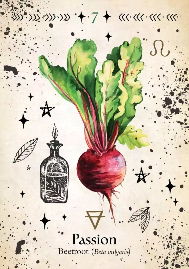 Green Witch Oracle card depicting a vibrant watercolor beetroot with bulbous purple-red root and bright green leafy top, botanical illustration.
