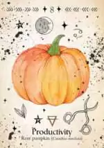 Green Witch_Oracle_Cards-8 Green Witch Oracle card showing an illustrated Kent pumpkin with a soft orange hue and characteristic ribbed surface, botanical oracle artwork.