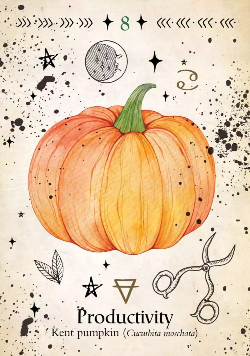 Green Witch Oracle card showing an illustrated Kent pumpkin with a soft orange hue and characteristic ribbed surface, botanical oracle artwork.