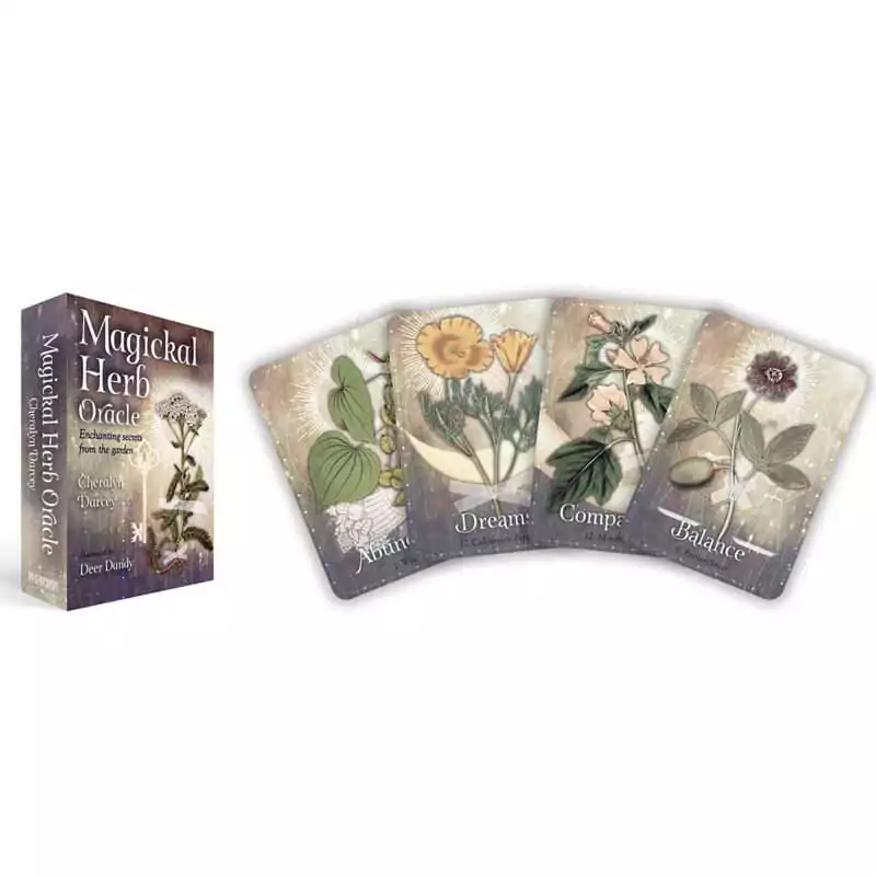 Magickal-Herb-oracle-by-Deer-Dandy-DMAGHER Magickal Herb Oracle card box alongside four illustrated plant cards showing botanical herb artwork, Cheralyn Darcey 36-card botanical oracle deck.