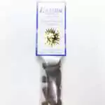 Premium Patchouli Escential Essences incense cones 16-pack by Auric Blends — rich dark earthy patchouli packaging on white background.