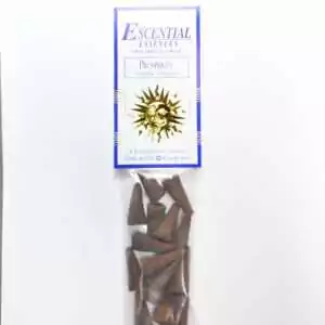 Prosperity Escential Essences incense cones 16-pack by Auric Blends — abundance-drawing prosperity blend packaging on white background.