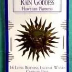 Rain Goddess Incense Sticks — Auric Blends Escential Essences 16-Pack