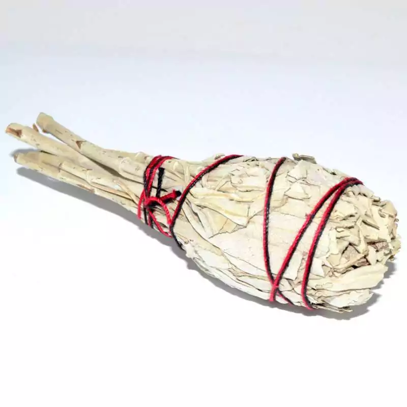 4quot-White-Sage-Torch-smudge-stick-RS4WST Dense 4 inch white sage torch smudge bundle tightly wrapped with natural string, compact cylindrical shape on plain background