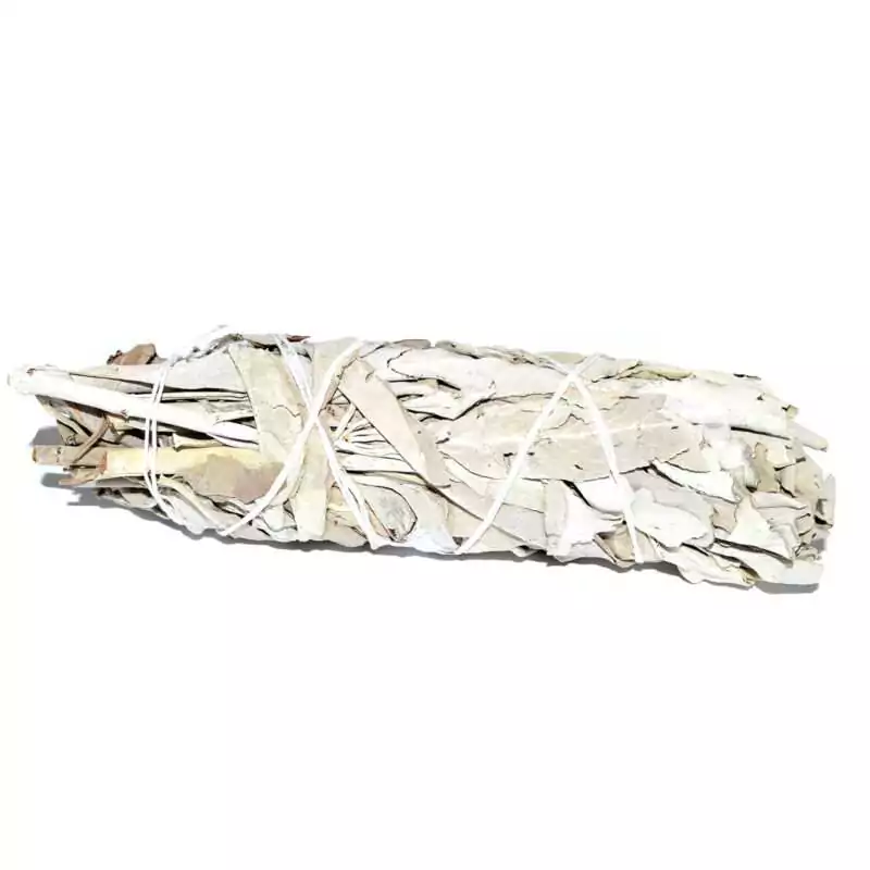 5quot-Sage-smudge-stick-RS5SAG 5 inch hand-wrapped white sage smudge stick bundle bound with natural twine on a plain background, longer than standard size