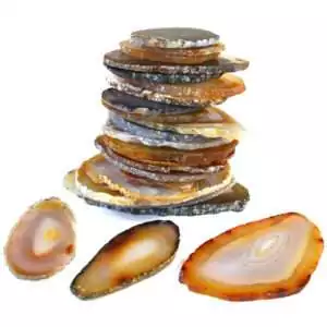 Set of 25 natural banded agate slices ranging 2 to 4 inches, showing translucent layers of white, brown, and grey tones arranged on a flat surface