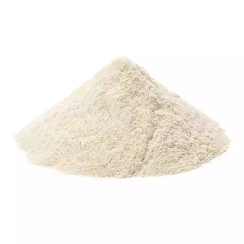 1-Lb-Arabic-Gum-powder-HARAPB_Z A small pile of pale cream-yellow gum arabic powder on a light surface, showing the fine ground texture of the acacia resin used for incense binding and ritual work.