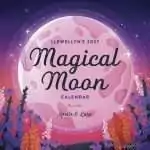 Cover of Llewellyn's 2027 Magical Moon Calendar, a pink full Moon illustration surrounded by flowers, subtitled Spells and Lore.