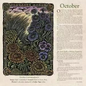 Sample October page from Llewellyn's 2027 Witches' Calendar showing an autumn floral illustration and an Aster Spell to Release Negativity by James Kambos.