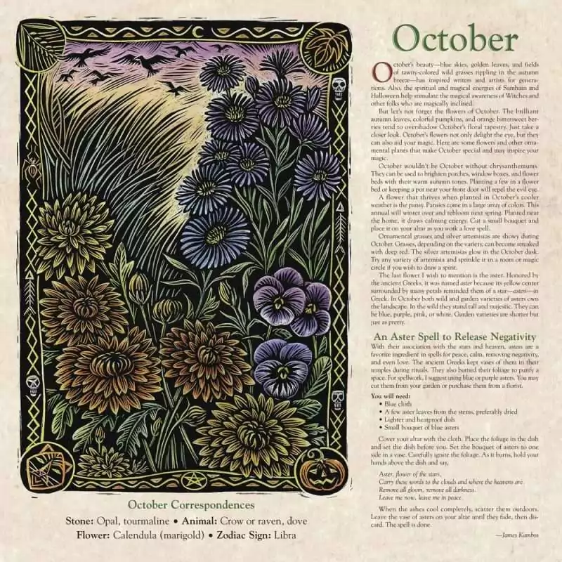 Sample October page from Llewellyn's 2027 Witches' Calendar showing an autumn floral illustration and an Aster Spell to Release Negativity by James Kambos.