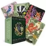 Kate Forsyth's Hedgewitch Oracle box and fanned cards showing a blue jay, a badger, a fox beside foxglove and a red squirrel with hazelnuts, next to the green oracle box with a bird on a branch